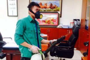 Dịch vụ phun thuốc diệt muỗi tại nhà Bình Đan