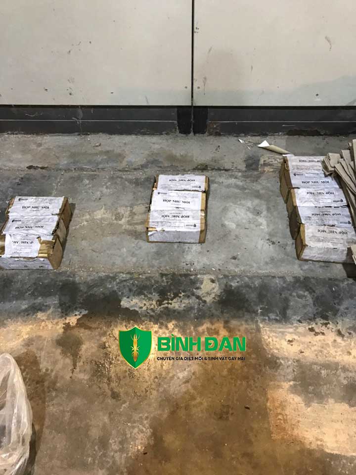 Diệt mối tận gốc kho hàng, kho giấy, nhà kho chứa nhiều ba lét gỗ thông 3 Diệt mối tận gốc kho hàng, kho giấy, nhà kho chứa nhiều ba lét gỗ thông 3