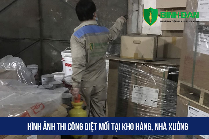 Dịch vụ Diệt Mối Tận Gốc Tại Tỉnh Bắc Ninh xin cam kết: 1