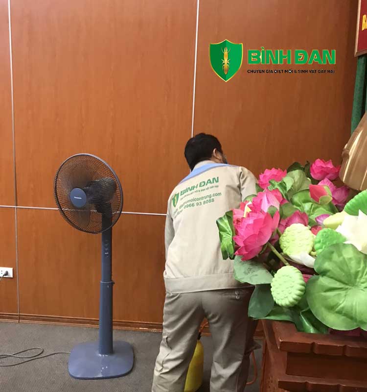 Hình ảnh thi công diệt mối tại văn phòng quân đội 9