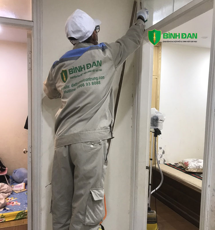 Phương Pháp Diệt Mối Tận Gốc Tại Nhà ở Hoài Đức 1