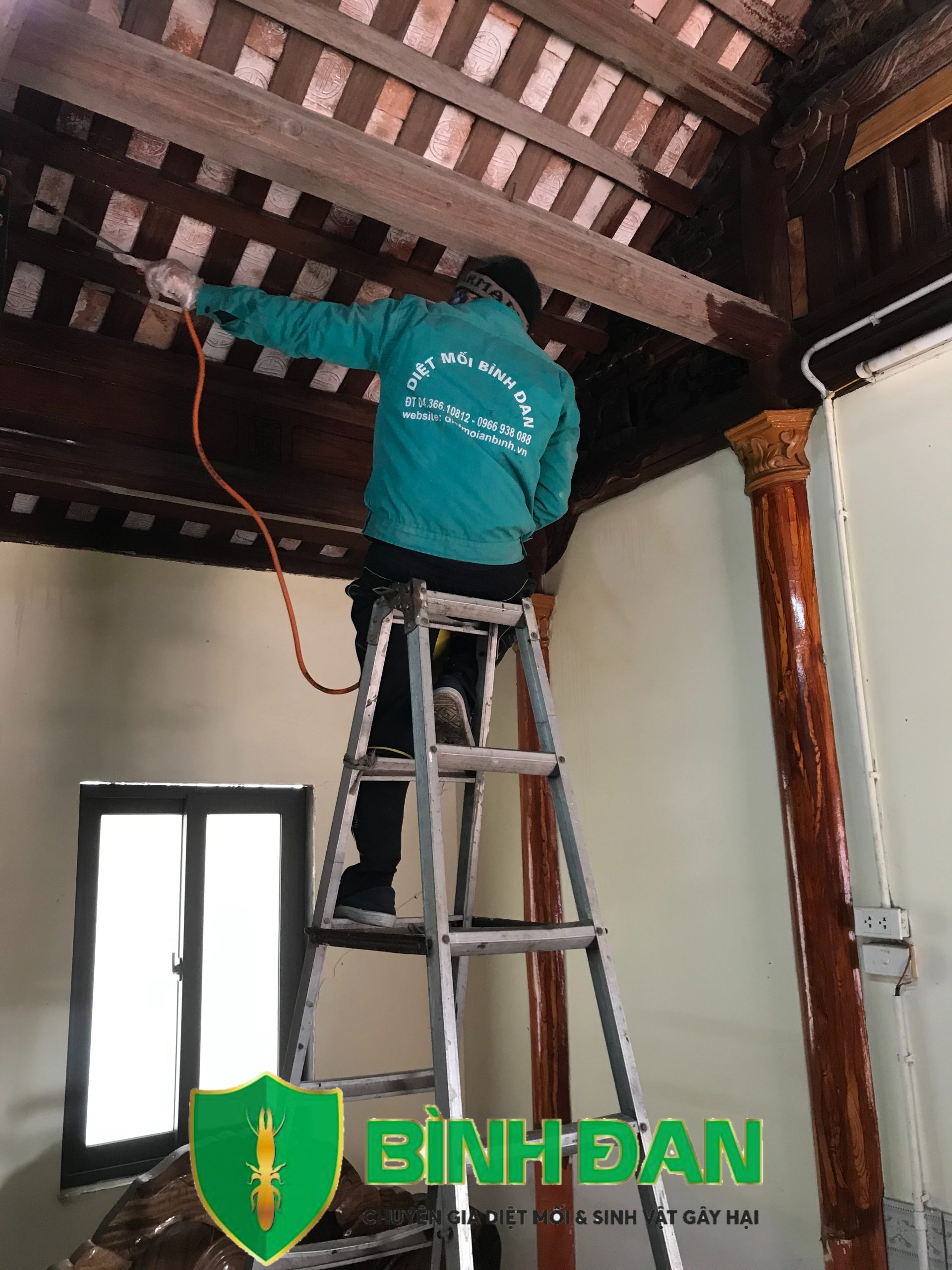 Tại sao mối mọt thường tấn công đồ gỗ? 1 Tại sao mối mọt thường tấn công đồ gỗ? 1